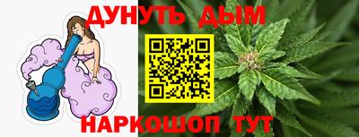 крисы Шелехов