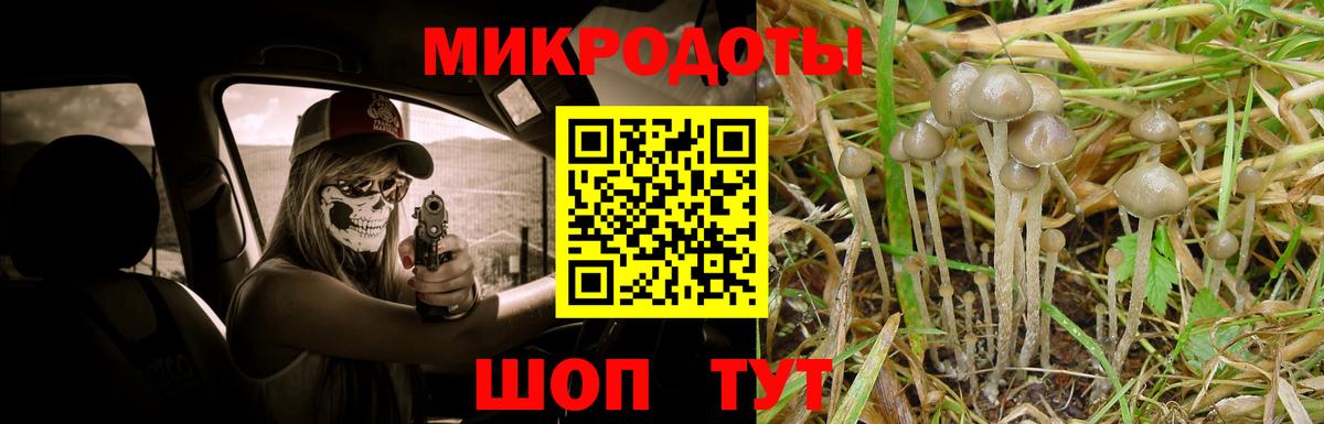 Псилоцибиновые грибы Cubensis  Вход с VPN  Видное 