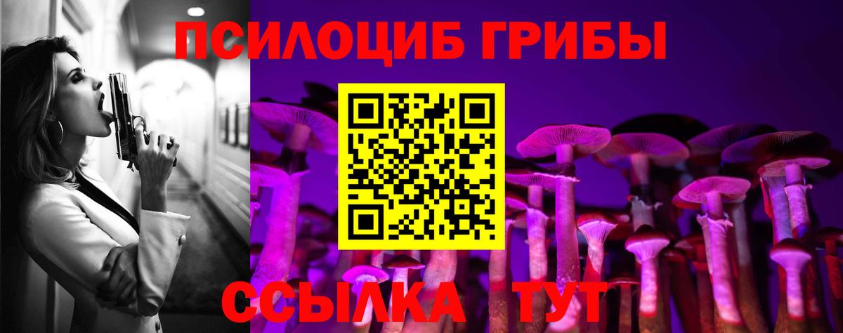 Псилоцибиновые грибы мицелий Видное